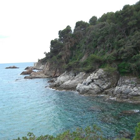 Apartamentos Famara Lloret de Mar Eksteriør bilde