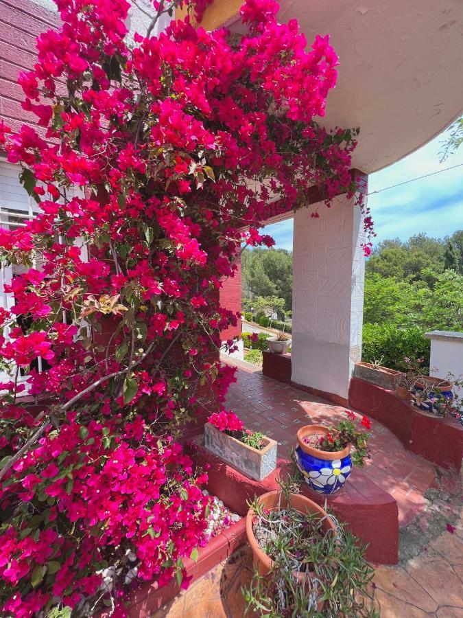 Apartamentos Famara Lloret de Mar Eksteriør bilde