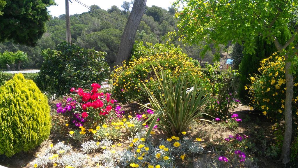 Apartamentos Famara Lloret de Mar Eksteriør bilde